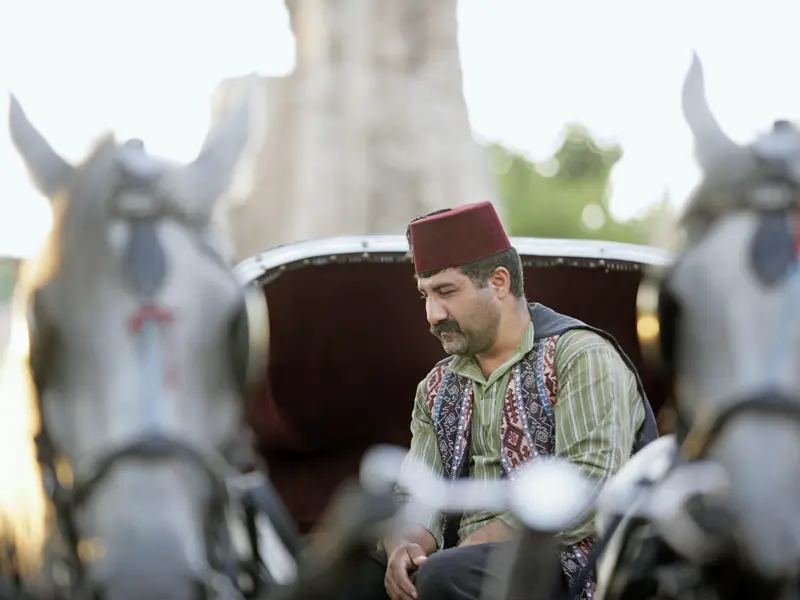 Ein Kutscher mit seinen Pferden in Istanbul.