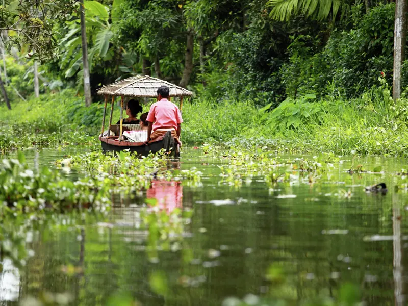 Auf unserer Marco Polo Entdeckerreise in der Mini-Gruppe unternehmen wir eine Bootstour durch die grünen Kanäle der Backwaters in Kerala.