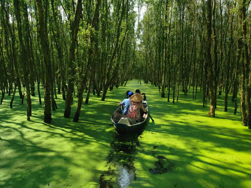 Auf Ihrer Marco Polo Rundreise durch Vietnam  begeben Sie sich per Boot auf einen spannenden Entdeckertrip durch das Mekongdelta, bevor Sie auf einer Obstplantage die angebauten Köstlichkeiten probieren.