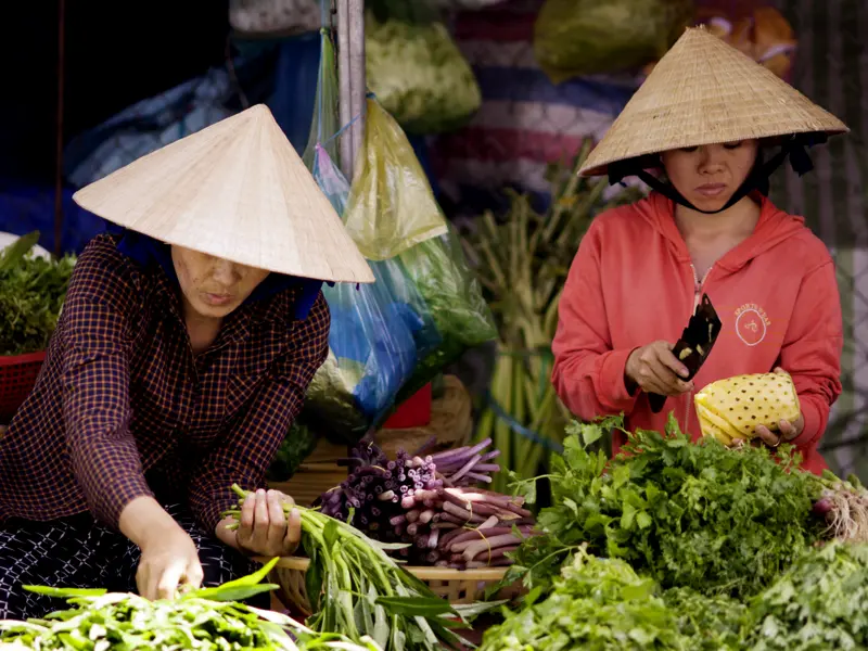 Frau Loi und Frau Quyen zeigen uns, wo es die besten Zutaten für ein vietnamesiches Mittagessen auf dem Markt zu kaufen gibt. Anschließend wird gekocht und geschlemmt.