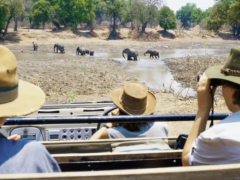 Safari im Krügerpark: Mit etwas Glück bekommen Sie die Big Five der Großwildjäger zu sehen: Elefanten, Nashörner, Büffel, Löwen und Leoparden.