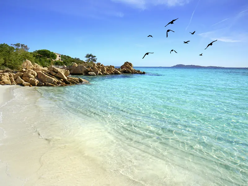 Während unserer YOUNG LINE Rundreise durch Sardinien nehmen wir uns immer wieder Zeit, um die schönsten Strände zu genießen. Weißer Sand, türkisblaues Wasser - was gibt es Schöneres?