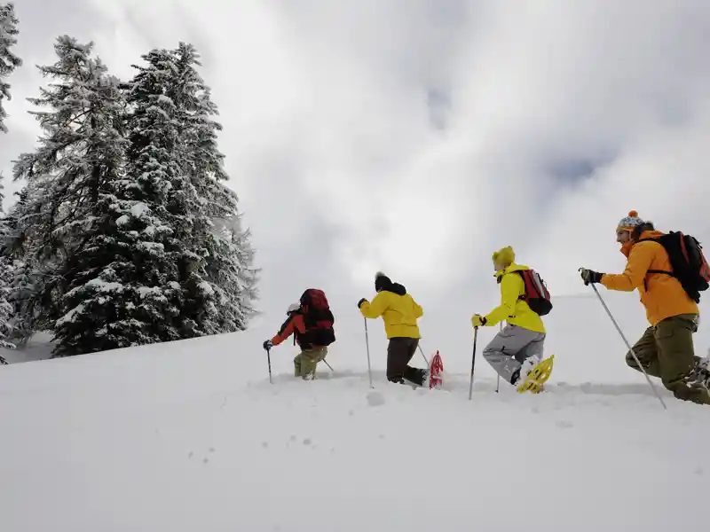 Auf unserer Reise mit YOUNG LINE nach Finnland heißt es am 3. Tag: Warm eingepackt, Schneeschuhe untergeschnallt und los geht's in die winterliche finnische Wildnis!