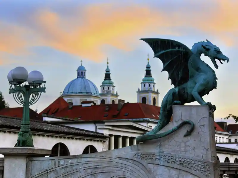 Zum Auftakt unserer Rundreise mit YOUNG LINE durch Slowenien erkunden wir die Hauptstadt. Angeblich hat man Ljubljana erst dann wirklich besucht, wenn man sich mit einem der Drachen auf der Drachenbrücke fotografieren lässt - also nichts wie hin!