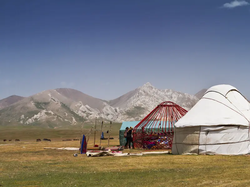Auf unserer YOUNG LINE Rundreise durch Usbekistan und Kirgisistan verbringen wir am Son-Kul zwei Nächte in einem Jurtencamp - um uns herum nur Natur, Schafe und Pferde.