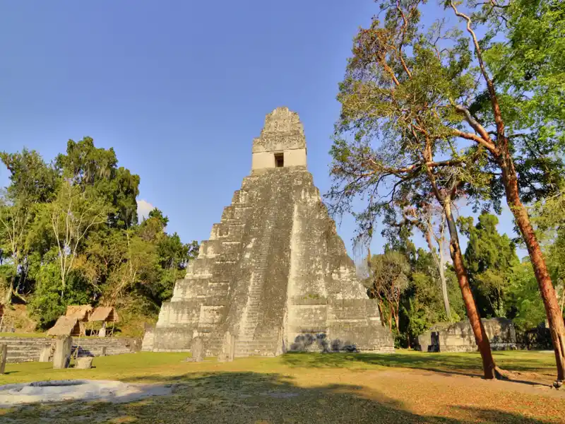 Auf unserer YOUNG LINE Reise durch Guatemala bestaunen wir im Tikal-Nationalpark den Sonnenaufgang von der Spitze eines der Tempel aus.