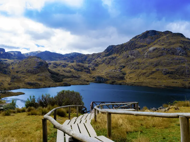 Auf dieser YOUNG LINE Reise für junge Traveller ab 35 wandern wir im Cajas-Nationalpark zur Lagune La Toreadora.