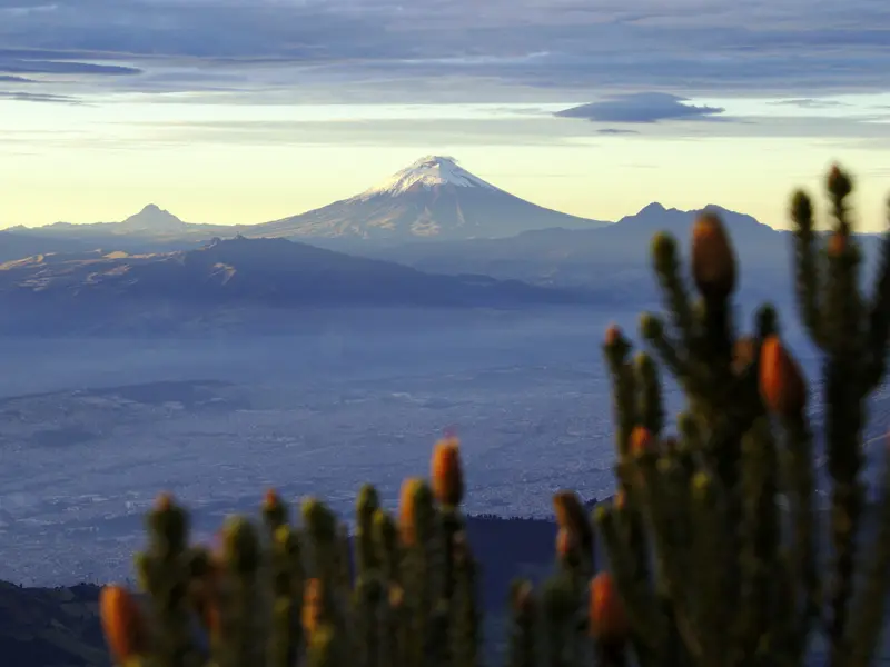 Auf unserer Rundreise mit YOUNG LINE durch Ecuador kommen wir auf der Allee der Vulkane auch am Cotopaxi vorbei.