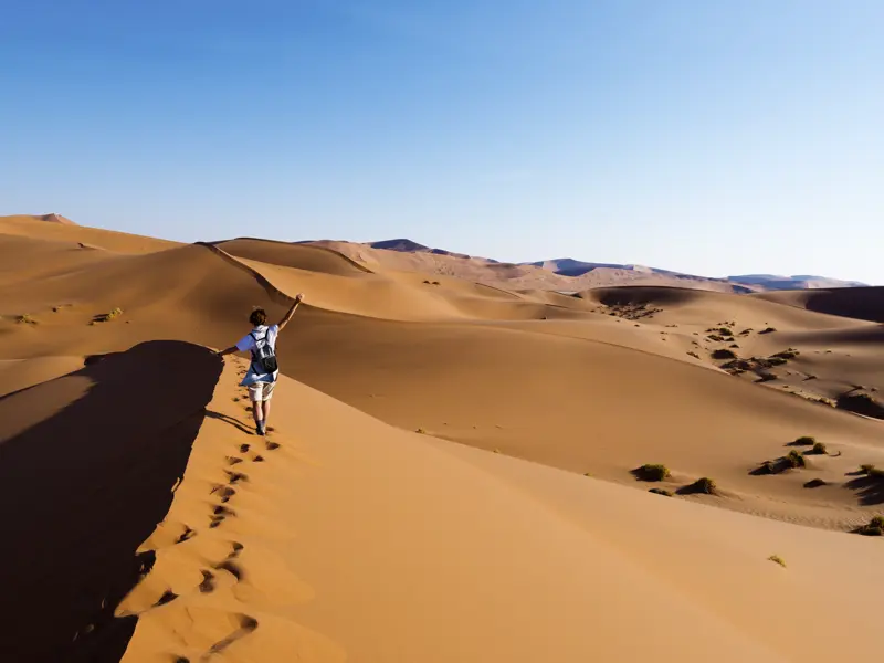 Auf unserer YOUNG LINE Rundreise durch Namibia, Botswana und Zimbabwe im Sossusvlei: frühmorgens auf den Dünen, ein unvergessliches Farbenspiel.