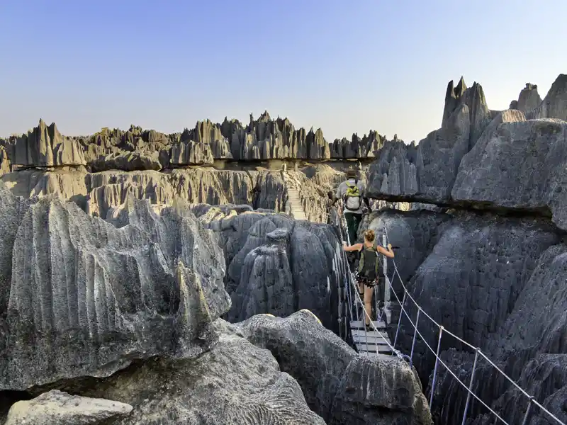 Auf unserer YOUNG LINE Rundreise durch Madagaskar wandern wir im Tsingy-Nationalpark durch den steinernen Wald - echtes Entdeckerterrain.