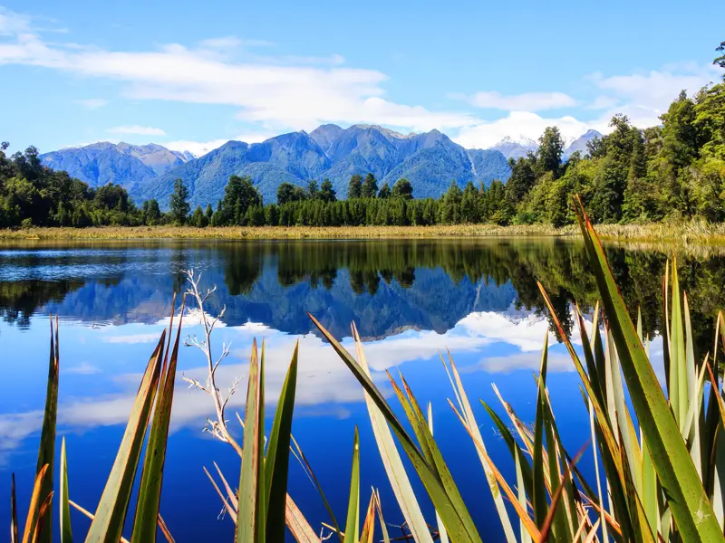 Der Fox Glacier gehört auf einer Reise nach Neuseeland einfach dazu. Glasklar, dass auch wir auf unserer YOUNG LINE Reise uns nicht entgehen lassen, wie sich die Berge im Lake Matheson spiegeln.