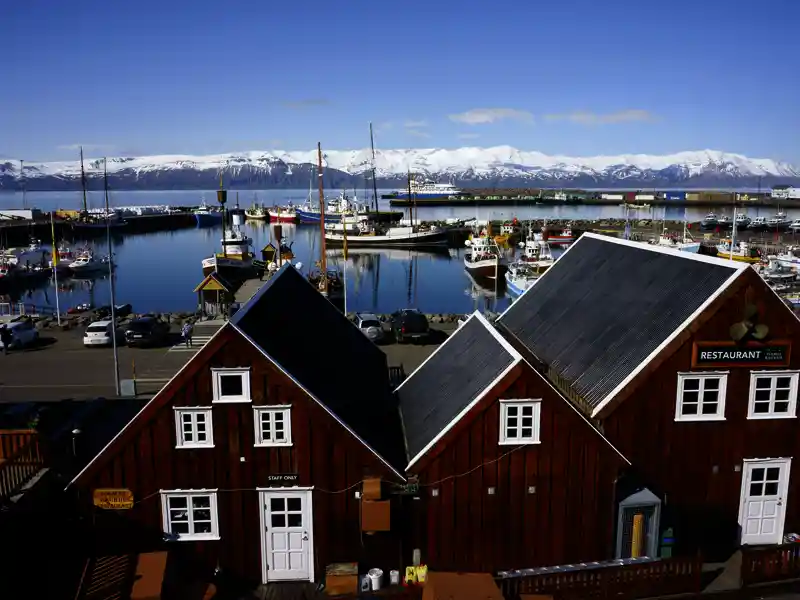 Auf der Marco Polo Rundreise nach Island übernachten wir im Fischerort Husavik, bekannt für seine Walbeobachtungstouren.