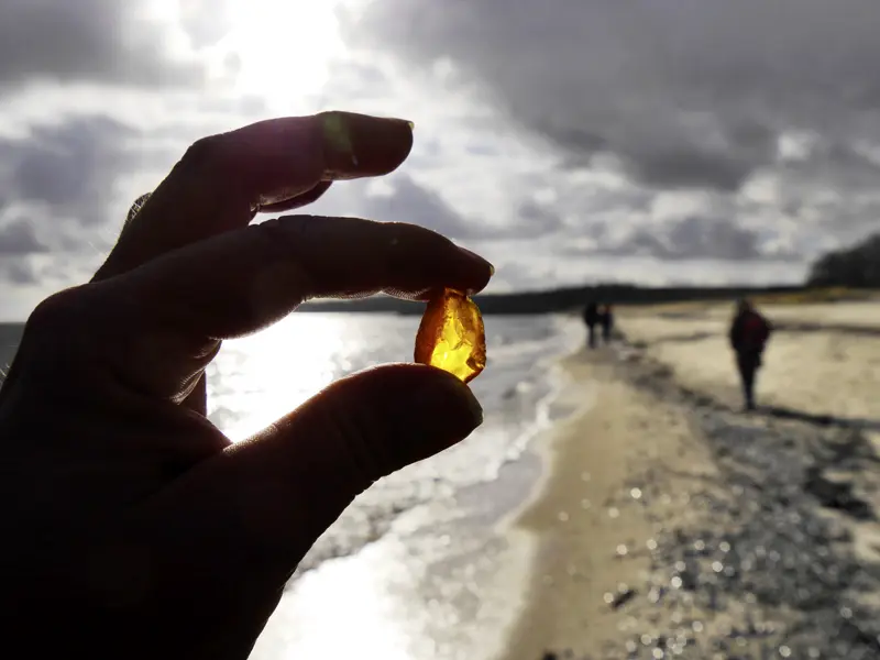 Mit etwas Glück finden wir bei einem Spaziergang an der Ostsee Bernstein auf unserer Reise durch das Baltikum.