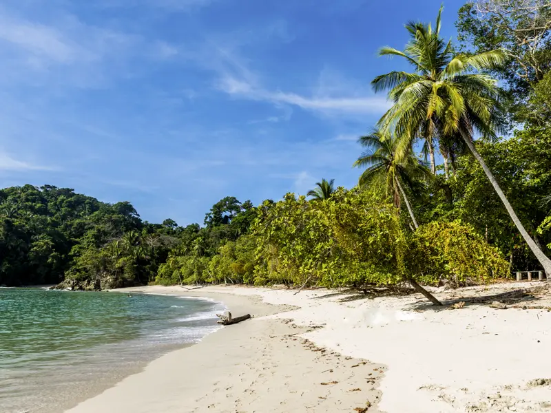 Auf unserer Rundreise durch Costa Rica kommen wir im Nationalpark Manuel Antonio Flora und Fauna nahe. Die weißen Sandstrände, die von türkisblauem Wasser umspült werden, wirken wie aus einem Karibiktraum.