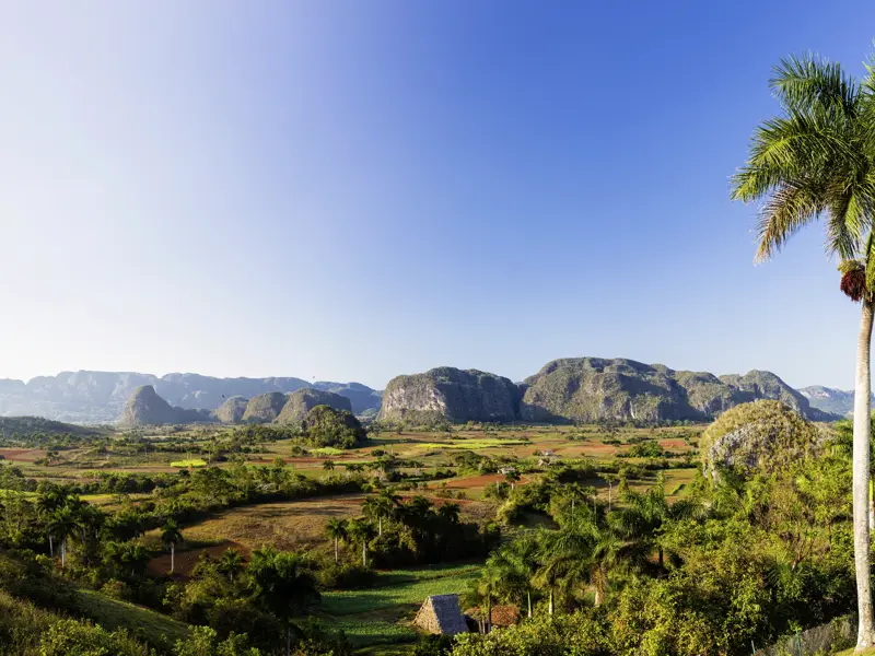 Auf unserer Reise in der Mini-Gruppe durch Kuba verbringen wir zwei Tage im Westen der Insel. Mogotes, die typischen Karstfelsen, ragen im Tal von Vinales in Richtung Himmel, auf der rostroten Erde soll der beste Tabak der Welt gedeihen.