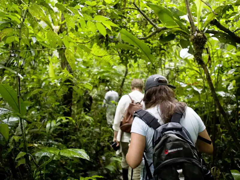 Der größte Teil Perus liegt im Amazonas-Tiefland; auf unserer Rundreise entdecken wir auch die Geheimnisse des Dschungels.