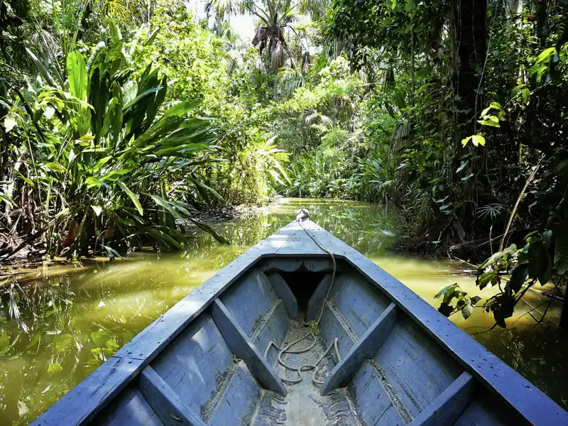 Auf unserer Marco Polo Rundreise durch Peru unternehmen wir auch eine Exkursion per Boot auf dem Wasserweg durch den Regenwald. Ob sich auch Affen, Tukane und Aras blicken lassen?