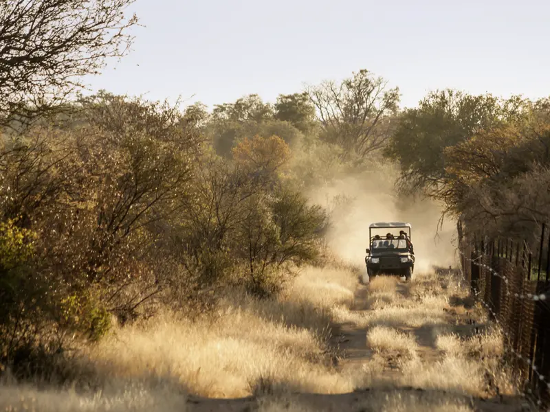 Auf Safari in Südafrika: Mit Marco Polo im Addo-Nationalpark und - auf Wunsch - auch im Krügerpark.