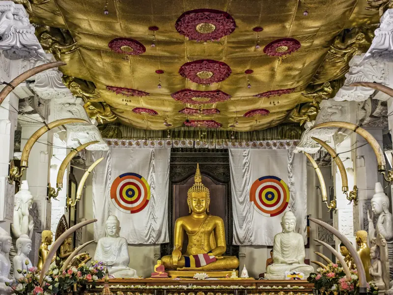 Auch dem Heiligtum Sri Lankas, dem Zahntempel in Kandy, statten wir während unserer YOUNG LINE Rundreise durch Sri Lanka für Traveller ab 35 einen Besuch ab.