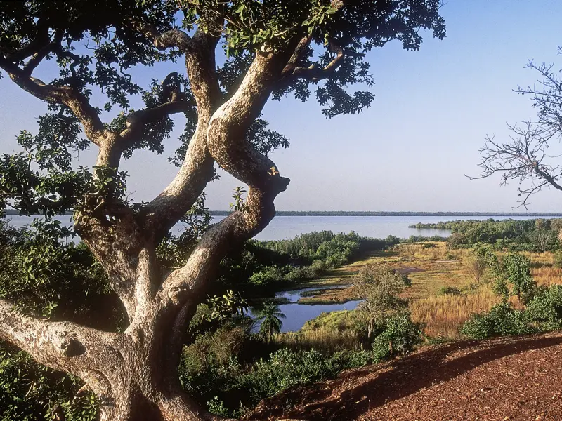 Unsere Marco Polo Reise führt uns auch ins Saloum-Delta, eine der schönsten Naturregionen des Landes.