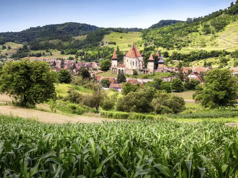 Auf Ihrer individuellen Rundreise durch Rumänien sehen Sie die imposante Kirchenburg von Birthälm (Biertan), die schon von Weitem auffällt.