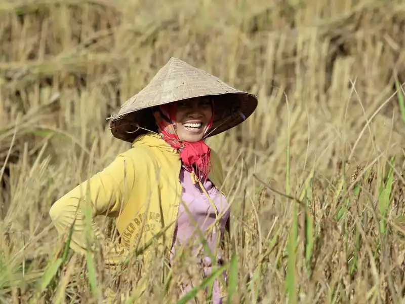 Auf Ihrer Rundreise durch Laos und Kamobdscha lernen Sie neben den kulturellen Highlights auch das typische Landleben kennen.