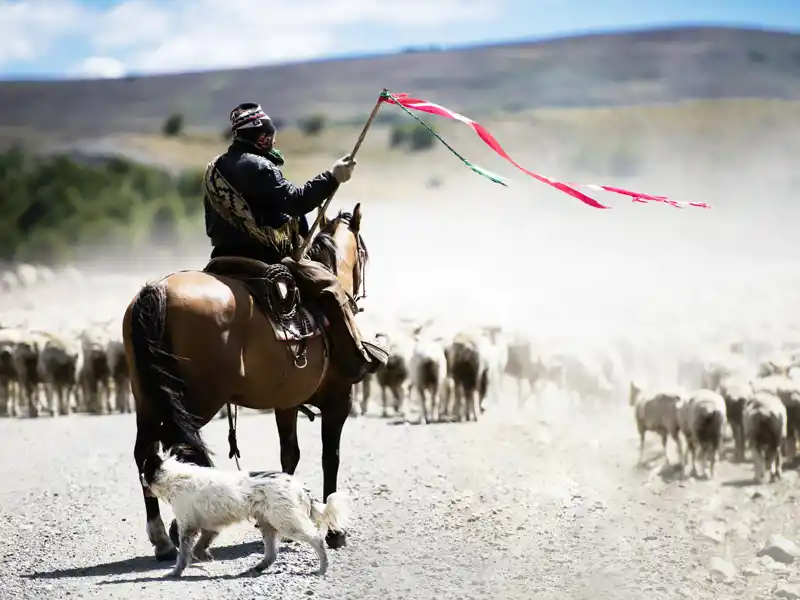 Auf Ihrer individuellen Rundreise durch Chile besuchen Sie den südlichen Teil des Landes: in den Steppen Patagoniens trifft man immer wieder auf Gauchos, die "Cowboys Südamerikas", die ihre Herden begleiten.