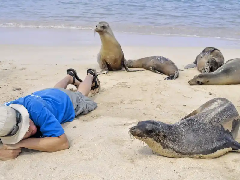 Höhepunkt Ihrer inividuellen Rundreise nach Ecuador ist Galápagos: Sie besuchen die Inseln Santa Cruz und Isabela und unternehmen ausführliche Erkundungstouren.