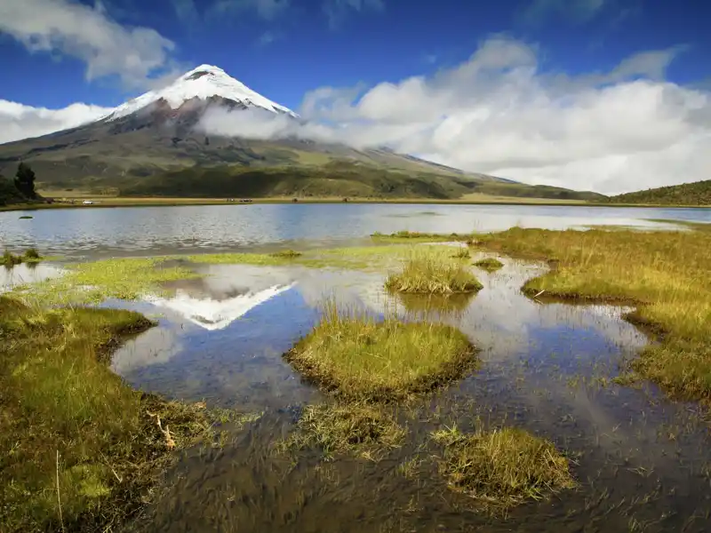 Auf Ihrer individuellen Reise nach Ecuador umrunden Sie am Fuße des Vulkans Cotopaxi die Lagune von Limpiopungo. Beeindruckend spiegelt sich der Vulkan mit schneebedecktem Gipfel vor blauem Himmel im See.