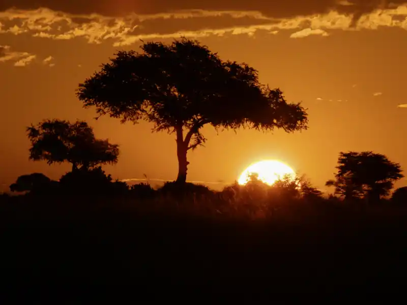 Die Sonnenuntergänge im südlichen Afrika faszinieren immer wieder aufs Neue. Sicher serviert Ihr Scout einen kühlen Drink dazu.