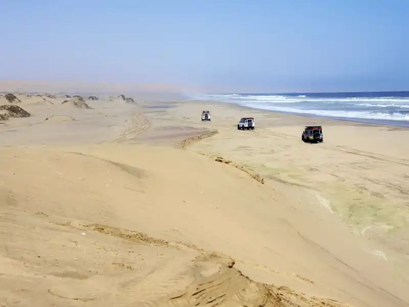 In den Sanddünen von Sandwich Harbour gehen Sie mit Ihrem Scout auf die Suche nach der Tanzenden Weißen Dame, den durchsichtigen Wüstengeckos und seltenen Pflanzen.