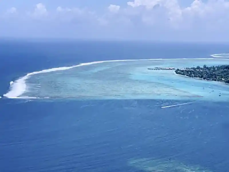 Genießen Sie diesen Blick über die Lagune von Moorea! Hier werden Sie eine Bootstour unternehmen und die tolle Unterwasserwelt betrachten.