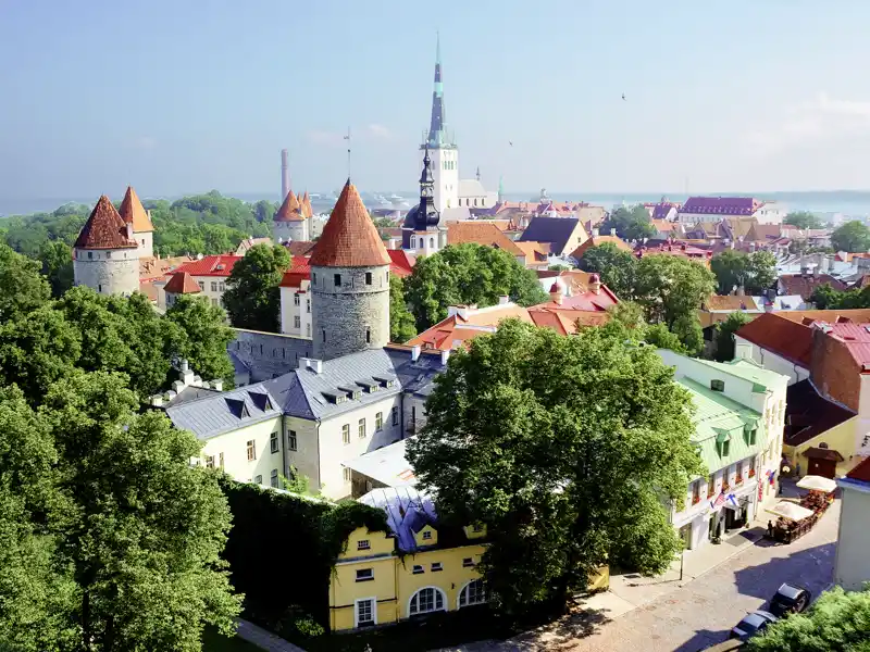 Auf unserer YOUNG LINE REISE durch Estland steigen wir mit unserem Scout auf den Domberg von Tallinn und bestaunen die unter uns liegende Altstadt mit Stadtmauer und Rathausturm.