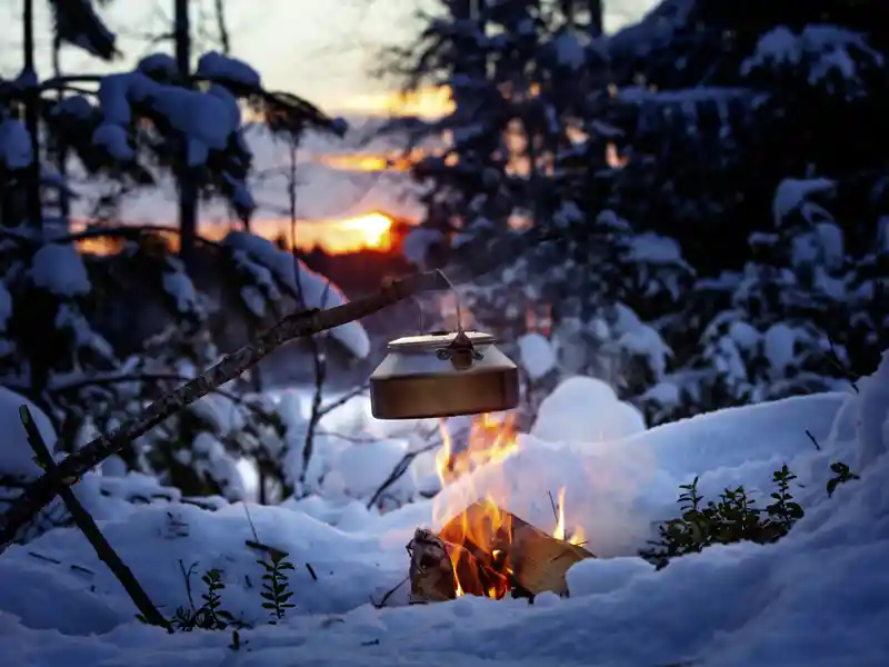 Auf unserer Silvesterreise nach Helsinki unternehmen wir auch einen Ausflug in die Wildnis