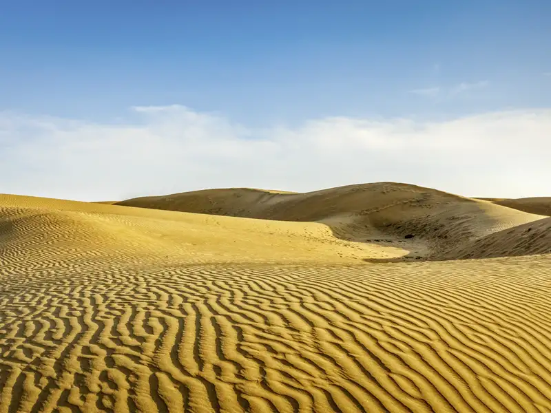 Auf unserer YOUNG LINE Rundreise durch Rajasthan unternehmen wir eine aufregenden Jeep-Safari durch die Sanddünen der Wüste Thar.