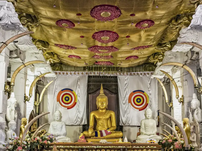 Auch demgrößten Heiligtum Sri Lankas, dem Zahntempel in Kandy, statten wir während unserer YOUNG LINE Rundreise durch Sri Lanka für Traveller ab 35 einen Besuch ab.