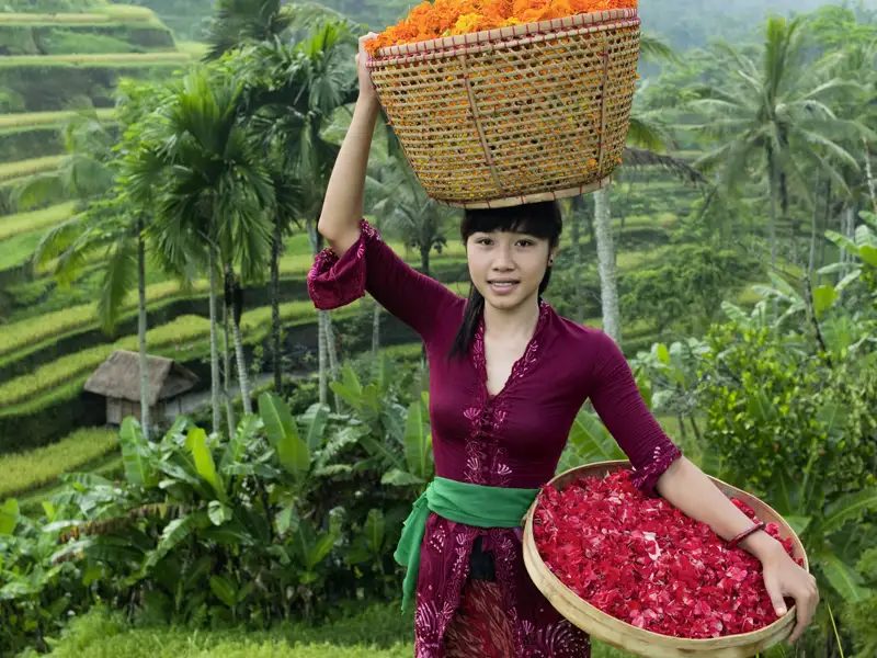 Auf unserer YOUNG LINE Rundreise über Bali tauchen wir ein in tropengrüne Landschaften und den Duft von schönsten Blumenblüten.