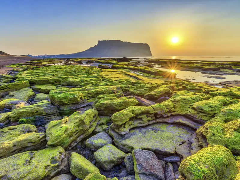 Der Sunrise Peak auf der südkoreanischen Insel Jeju ist ein Highlight dieser Reise
