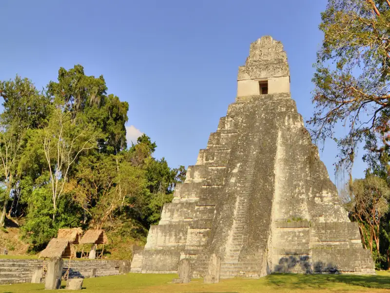 Auf unserer YOUNG LINE Reise durch Guatemala bestaunen wir im Tikal-Nationalpark den Sonnenaufgang von der Spitze eines der Tempel aus.