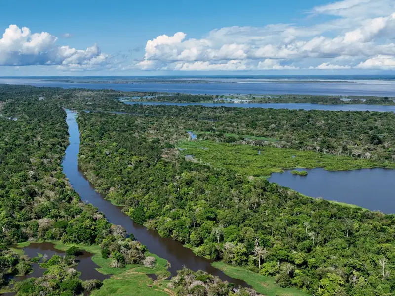 Der Amazonas-Regenwald von oben, Flussarme schlängeln sich durch den dichten Dschungel, die Vegetation ist üppig und satt grün.