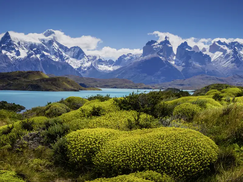 Skurrile Felsen, kalbende Gletscher und tosende Wasserfälle - zwei Tage sind wir auf unserer YOUNG LINE Rundreise durch Chile unterwegs im Torres del Paine Nationalpark.