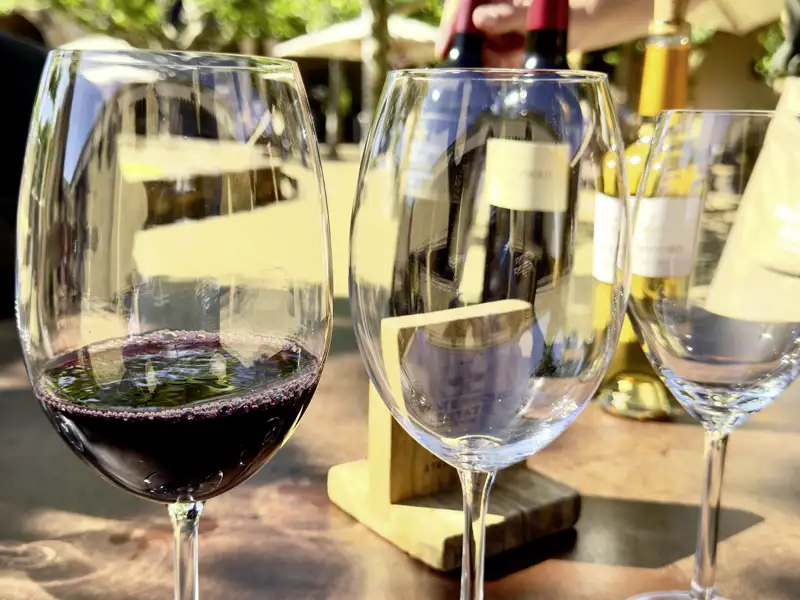Südafrika ist bekannt für seine guten Weine. Bei unserer Rundreise verkosten wir verschiedene Weine in Stellenbosch nahe Kapstadt.